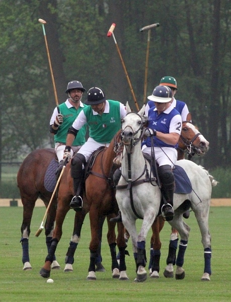 Polo_Art   015.jpg